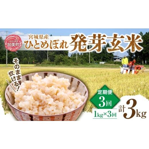 ふるさと納税 玄米 宮城県 加美町 3回定期便 簡単に炊ける 宮城県産 ひとめぼれ 発芽玄米 菅原商店 宮城県 加美町 米 こめ コメ 玄米 発芽玄米 ご飯 毎月お届…