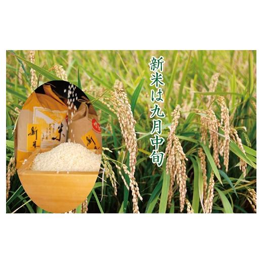 ふるさと納税 米 コシヒカリ 佐賀県 佐賀市 令和7年産　佐賀市三瀬村産「コシヒカリ」10kg（5kg×2袋）：B335-020