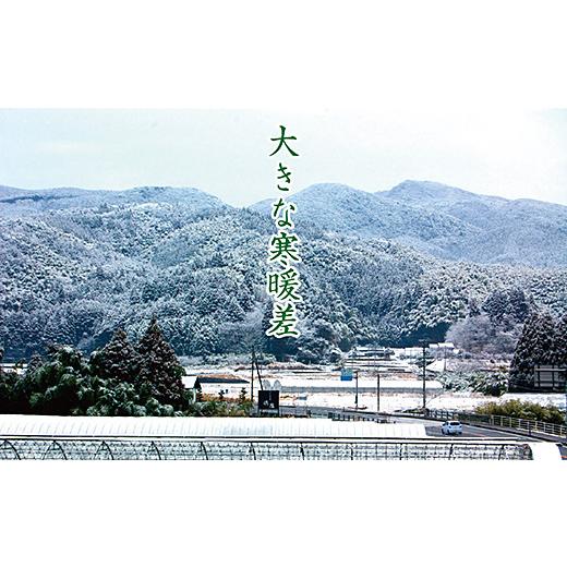 ふるさと納税 米 コシヒカリ 佐賀県 佐賀市 令和7年産　佐賀市三瀬村産「コシヒカリ」10kg（5kg×2袋）：B335-020