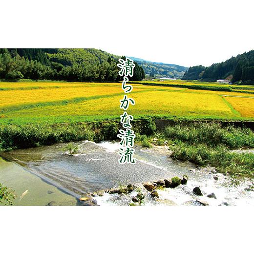 ふるさと納税 米 コシヒカリ 佐賀県 佐賀市 令和7年産　佐賀市三瀬村産「コシヒカリ」10kg（5kg×2袋）：B335-020