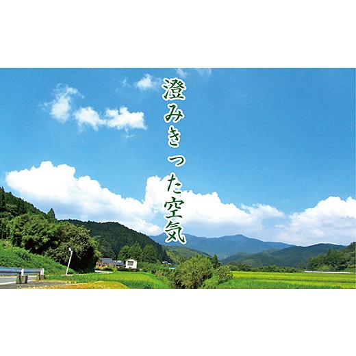 ふるさと納税 米 コシヒカリ 佐賀県 佐賀市 令和7年産　佐賀市三瀬村産「コシヒカリ」10kg（5kg×2袋）：B335-020