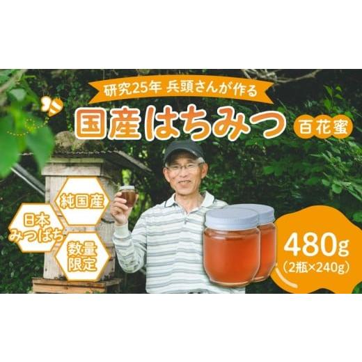 ふるさと納税 加工品等 はちみつ 愛媛県 鬼北町 兵頭さん家の国産はちみつ 2瓶（計480g 計360cc） ｜ 国産 百花蜜 蜂蜜 ハチミツ 深山ミツバチ 研究25年 日本…の画像