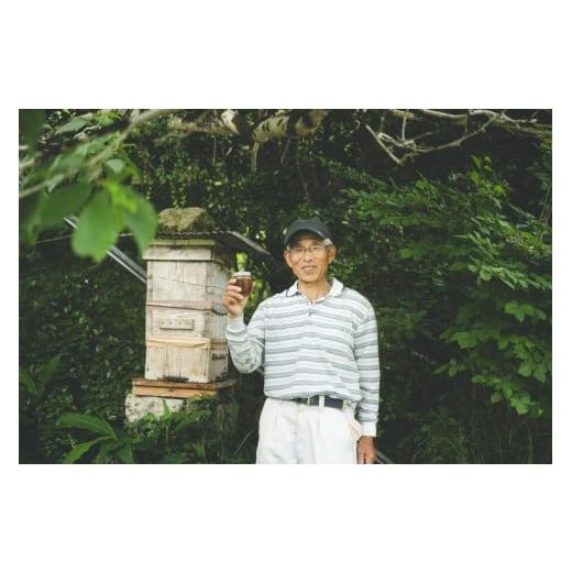 ふるさと納税 加工品等 はちみつ 愛媛県 鬼北町 兵頭さん家の国産はちみつ 2瓶（計480g 計360cc） ｜ 国産 百花蜜 蜂蜜 ハチミツ 深山ミツバチ 研究25年 日本…の画像