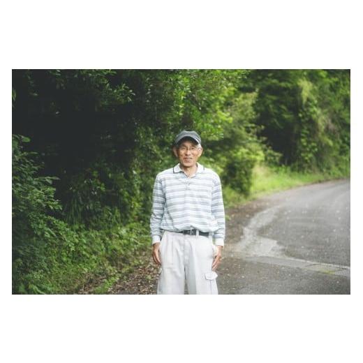 ふるさと納税 加工品等 はちみつ 愛媛県 鬼北町 兵頭さん家の国産はちみつ 2瓶（計480g 計360cc） ｜ 国産 百花蜜 蜂蜜 ハチミツ 深山ミツバチ 研究25年 日本…の画像