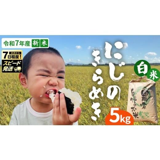 ふるさと納税 米 茨城県 つくばみらい市 新米 令和7年産 茨城県産 白米 にじのきらめき 5kg スピード発送対応 国産 茨城産 茨城県産米 つくばみらい市 精米 …