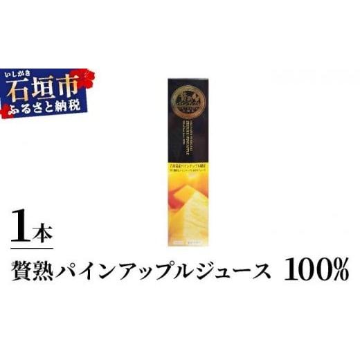 ふるさと納税 果汁飲料 沖縄県 石垣市 贅熟 石垣島産パインアップルジュース(100%) 500ml×1本 1本