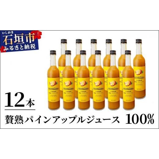ふるさと納税 果汁飲料 沖縄県 石垣市 贅熟 石垣島産パインアップルジュース(100%) 500ml×12本 12本_1
