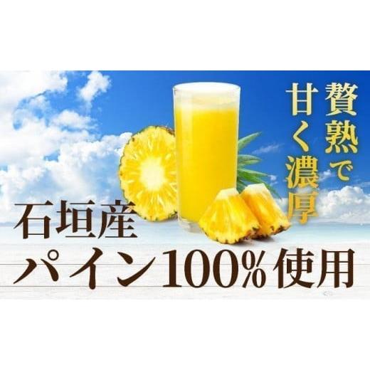 ふるさと納税 果汁飲料 沖縄県 石垣市 贅熟 石垣島産パインアップルジュース(100%) 500ml×12本 12本_2