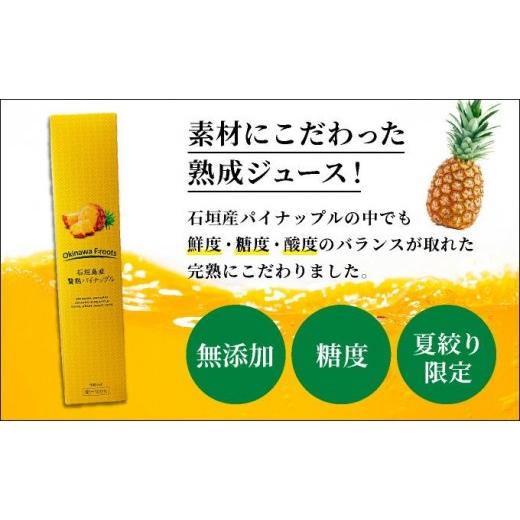 ふるさと納税 果汁飲料 沖縄県 石垣市 贅熟 石垣島産パインアップルジュース(100%) 500ml×12本 12本_3