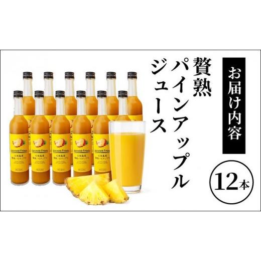 ふるさと納税 果汁飲料 沖縄県 石垣市 贅熟 石垣島産パインアップルジュース(100%) 500ml×12本 12本_5