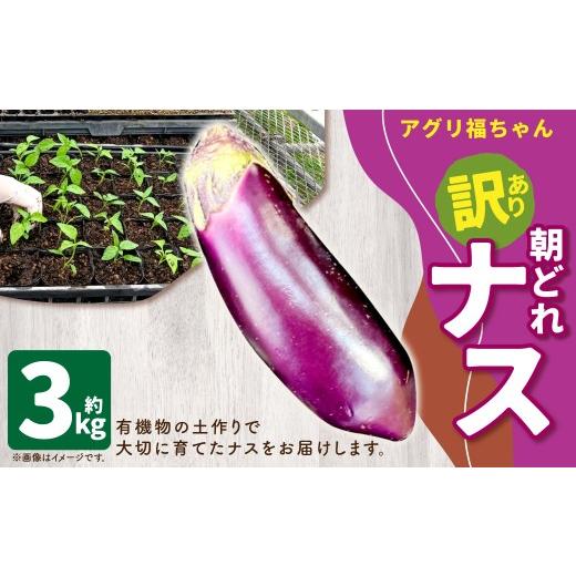 ふるさと納税 野菜類 茄子 鹿児島県 薩摩川内市 鹿児島県産 訳あり ナス 3kg なす 茄子 2026年7月上旬から9月下旬発送予定 ZS-798