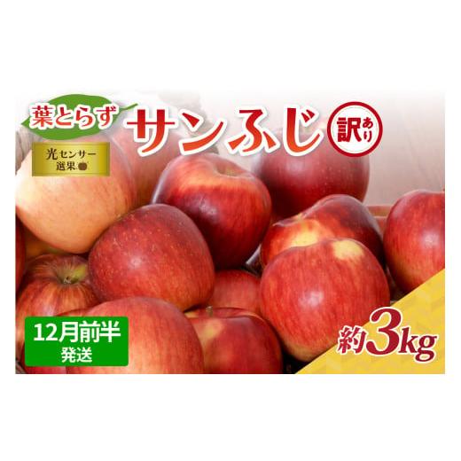 ふるさと納税 りんご 青森県 五所川原市 2025年12月前半発送 訳あり 青森県産葉とらずサンふじりんご約3kg 12月前半発送(1日〜15日)
