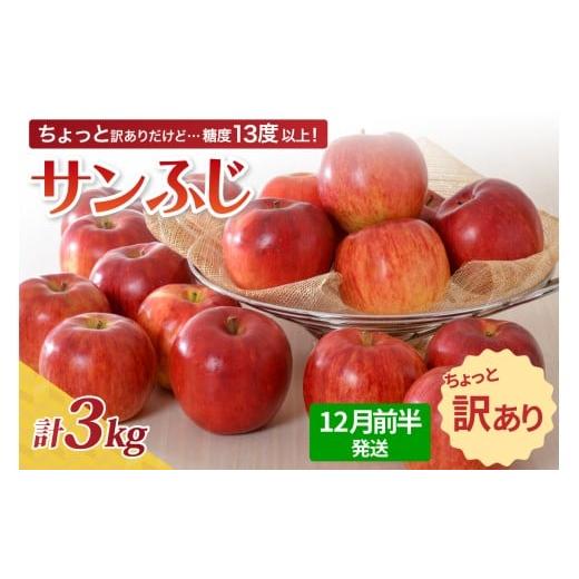 ふるさと納税 りんご 青森県 五所川原市 先行受付 2025年12月前半発送 訳あり りんご 約3kg サンふじ 青森産 12月前半発送(1日〜15日)