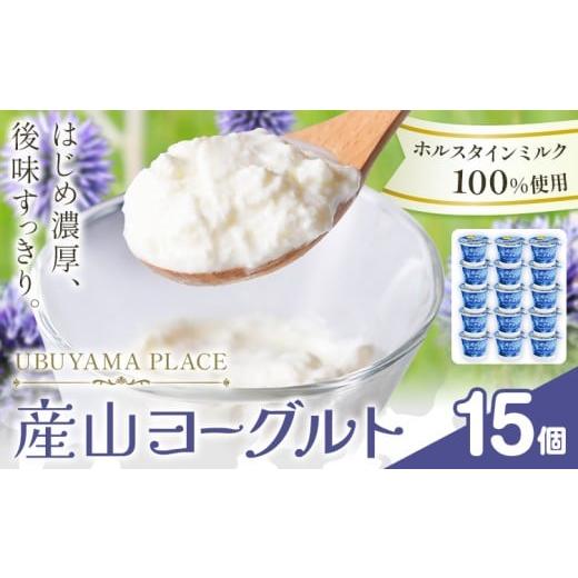 ふるさと納税 菓子 ヨーグルト 熊本県 産山村 ホルスタインミルク 100% 使用 産山ヨーグルト15個 株式会社UBUYAMAPLACE[30日以内に出荷予定(土日祝除く)]熊…