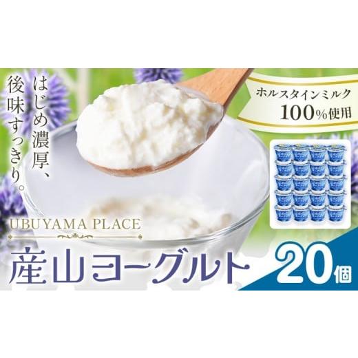 ふるさと納税 菓子 ヨーグルト 熊本県 産山村 ホルスタインミルク 100% 使用 産山ヨーグルト20個 株式会社UBUYAMAPLACE[30日以内に出荷予定(土日祝除く)]熊…