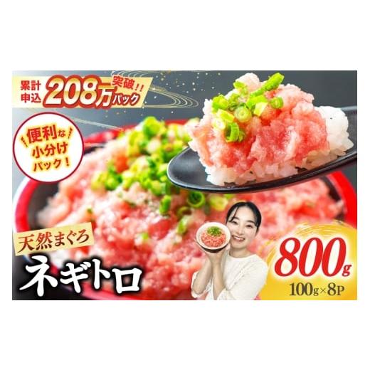 ふるさと納税 マグロ 静岡県 吉田町 10月発送 ネギトロ 8パック (計800g) レビューキャンペーン 10月発送 8パック(計800g)