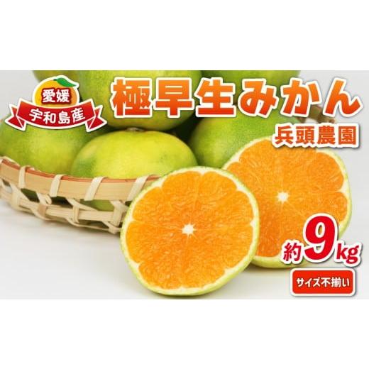 ふるさと納税 果物類 みかん 愛媛県 宇和島市 極早生みかん 家庭用 9kg サイズ不揃い 兵頭農園 先行予約 みかん mikan 愛媛ミカン 愛媛みかん 愛媛蜜柑 極早生…