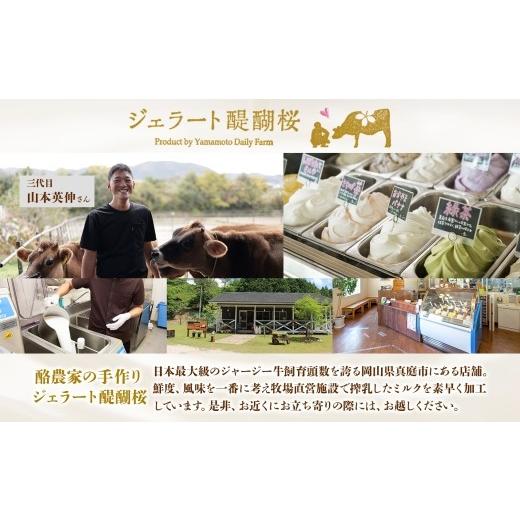 ふるさと納税 菓子 アイス 岡山県 真庭市  ジェラート醍醐桜 熨斗 恋するジャージーPremium2種 （ゴールデンミルク＆さちのか苺）計12個セット ／ 岡山 真庭 …_6
