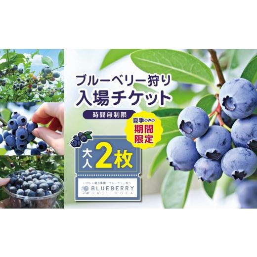 ふるさと納税 体験チケット 栃木県 真岡市 先行予約 ブルーベリー狩り入場チケット 大人2人分 | ブルーベリー 新鮮 収穫体験 イベント 体験 チケット 栃木県 …
