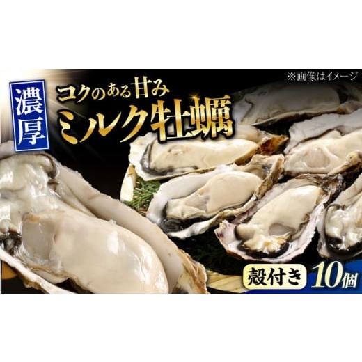 ふるさと納税 牡蠣 広島県 江田島市 2月26日(木)発送 江田島ミルク牡蠣 殻付き 10個 加熱用 かき 広島県産 カキ 貝付き牡蠣 海鮮 贈呈用 BBQ 濃厚 新鮮 蒸…