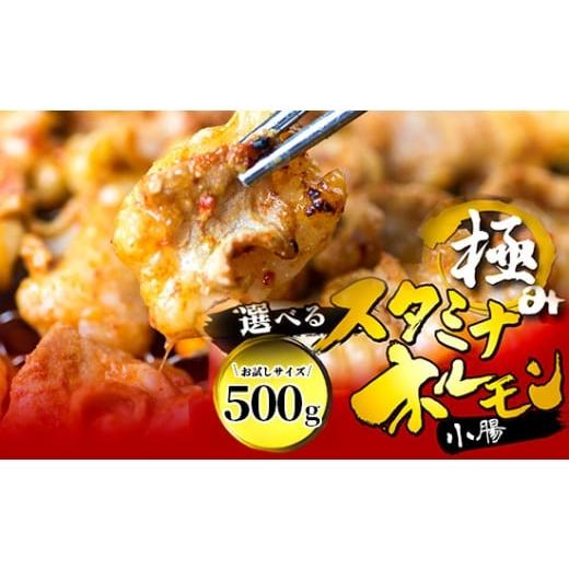 ふるさと納税 牛肉 ホルモン 京都府 舞鶴市 タレ揉み 極みの スタミナ ホルモン 小腸 500g 250×2袋 小分け タレ付き | ほるもん 牛肉 牛ホルモン モツ 小腸 …