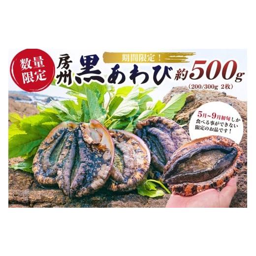 ふるさと納税 魚貝類 アワビ 千葉県 南房総市 先行受付 2026年5月〜9月初旬発送予定 数量限定 房州 黒あわび 約500g (200/300g × 2枚) mi0020-0012 あわび …