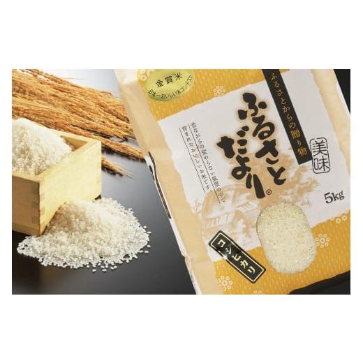ふるさと納税 玄米 新潟県 燕市 令和7年産 新潟産『コシヒカリ』日本一
