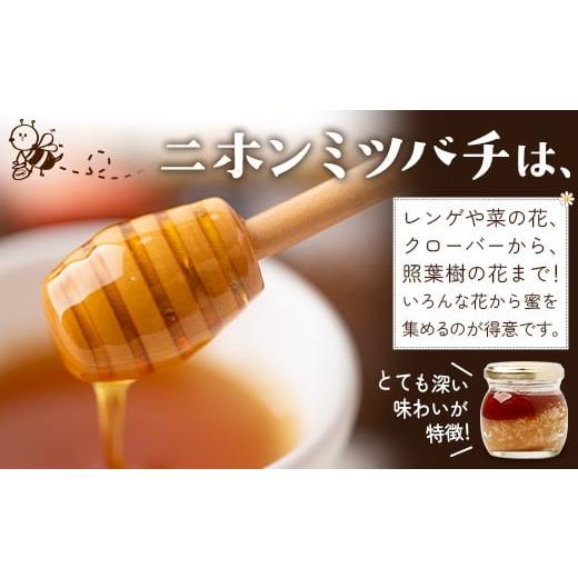 ふるさと納税 加工品等 はちみつ 鹿児島県 南大隅町 はちみつ 蜂蜜 3種 セット（100g×3個）31 Honey《数量限定》 MM-1 ｜国産 はちみつ ハチミツ 蜂蜜 養蜂 …の画像