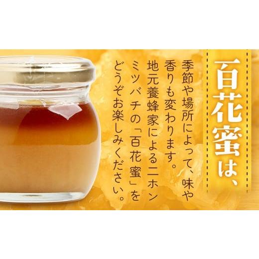 ふるさと納税 加工品等 はちみつ 鹿児島県 南大隅町 はちみつ 蜂蜜 3種 セット（100g×3個）31 Honey《数量限定》 MM-1 ｜国産 はちみつ ハチミツ 蜂蜜 養蜂 …の画像