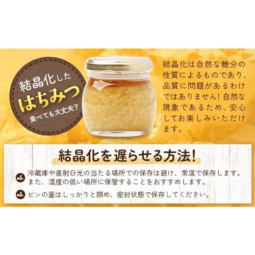 ふるさと納税 加工品等 はちみつ 鹿児島県 南大隅町 はちみつ 蜂蜜 3種 セット（100g×3個）31 Honey《数量限定》 MM-1 ｜国産 はちみつ ハチミツ 蜂蜜 養蜂 …の画像