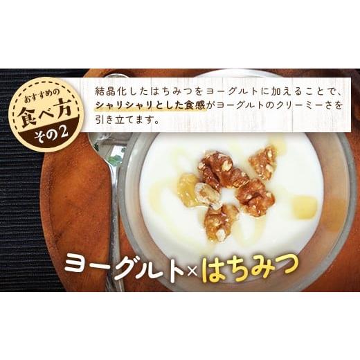 ふるさと納税 加工品等 はちみつ 鹿児島県 南大隅町 はちみつ 蜂蜜 3種 セット（100g×3個）31 Honey《数量限定》 MM-1 ｜国産 はちみつ ハチミツ 蜂蜜 養蜂 …の画像