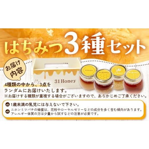 ふるさと納税 加工品等 はちみつ 鹿児島県 南大隅町 はちみつ 蜂蜜 3種 セット（100g×3個）31 Honey《数量限定》 MM-1 ｜国産 はちみつ ハチミツ 蜂蜜 養蜂 …の画像