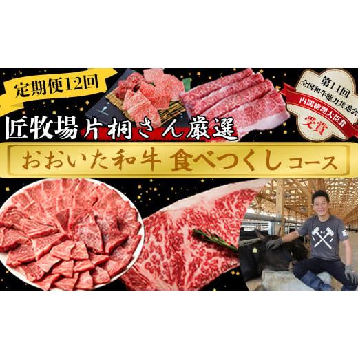 ふるさと納税 牛肉 焼肉・バーベキュー 大分県 杵築市 5月発送開始 12か月定期便 匠牧場 片桐さん厳選 おおいた和牛食べつくしコース 牛肉 和牛 定期便 12回 …