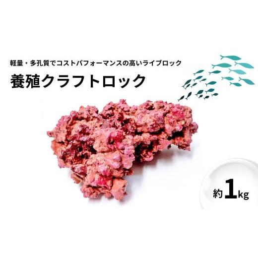 ふるさと納税 民芸品・工芸品 新潟県 出雲崎町 ハンドメイド 養殖