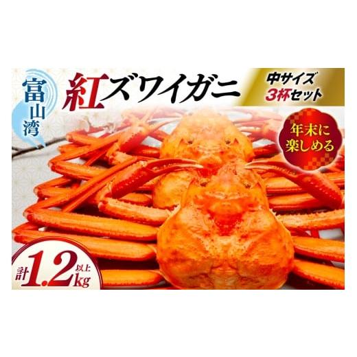 ふるさと納税 カニ ずわいガニ 富山県 朝日町 1月配送 カニ ベニズワイ 冷凍便 中サイズ 3杯 総計1.2kg以上 聖徳丸 富山県 朝日町 34310501-1m 紅ズワイガニ …