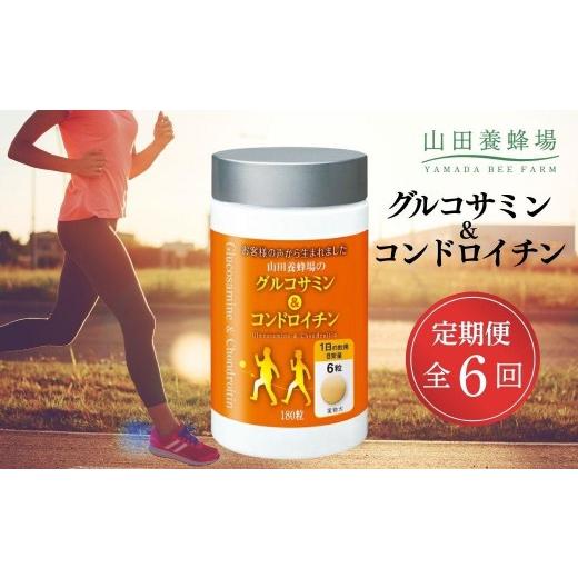 ふるさと納税 加工品等 岡山県 鏡野町 定期便全6回 グルコサミン&コンドロイチン(28313) 006-a106 定期便×6回
