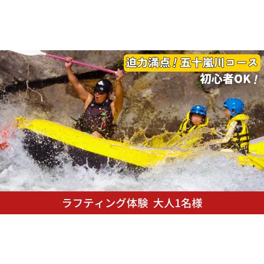 ふるさと納税 体験チケット 新潟県 三条市 五十嵐川ラフティング(大人) チケット アウトドア 体験 川下り 自然 レジャー ウォータースポーツ アクティビティ…