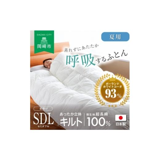 ふるさと納税 家具 インテリア・寝具・収納 愛知県 岡崎市 羽毛布団 夏用 軽量 蒸れない 羽毛ふとん セミダブル ロングサイズ 170×210cm 小野ふとん店 愛知県…