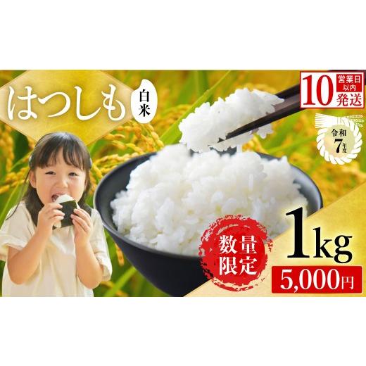 ふるさと納税 米 岐阜県 関市 岐阜県代表品種 令和7年産 ハツシモ米 