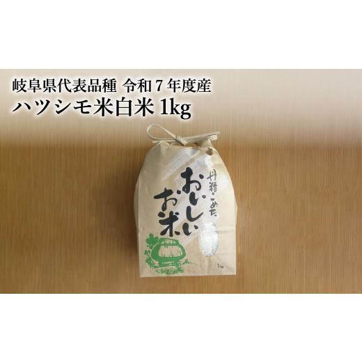 ≪令和7年産≫＼選べる回数／岐阜 ハツシモ 約5kg - 岐阜県垂井町 