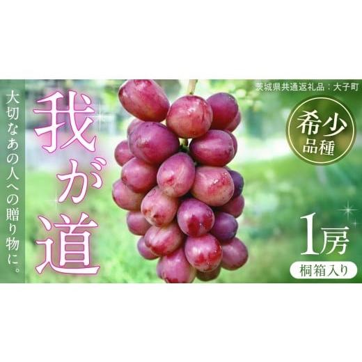 ふるさと納税 果物類 ぶどう 茨城県 牛久市 桐箱入り 我が道 1房 2026年9月上旬発送開始 (茨城県共通返礼品:大子町) シャインマスカット ウインク 葡萄 ブ…