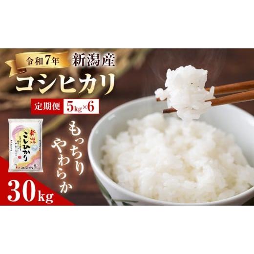 ふるさと納税 米 コシヒカリ 新潟県 新潟市 R7年産米 定期便 新潟産 