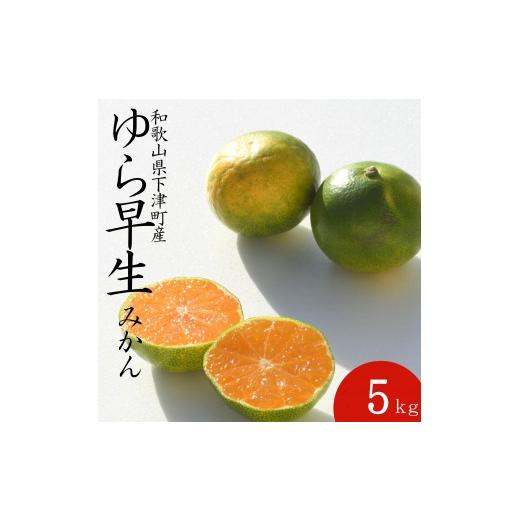 ふるさと納税 果物類 みかん 和歌山県 和歌山市 極早生みかん ゆら早生 みかん 5kg 家庭用 2S・3S混合サイズ 和歌山県海南市産 産地直送