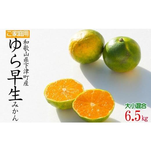 ふるさと納税 果物類 みかん 和歌山県 和歌山市 極早生みかん ゆら早生みかん 約6.5kg 大小混合サイズ 訳あり 和歌山県下津町産 産地直送 北海道・沖縄県・一…
