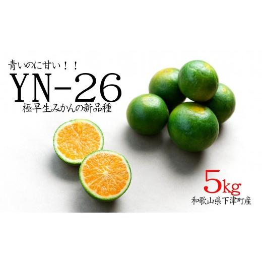ふるさと納税 果物類 みかん 和歌山県 和歌山市 極早生みかん YN26 みかん 5kg 家庭用 2S・3S混合サイズ 和歌山県海南市産 産地直送
