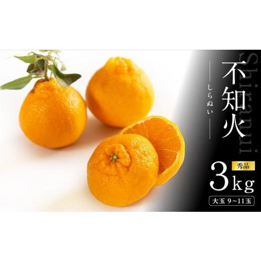 ふるさと納税 みかん・柑橘類 デコポン 和歌山県 和歌山市 不知火 約3kg 大玉9〜11玉入り [赤秀] 和歌山県産 農園直送 まごころ産直みかん 北海道・沖縄県・…