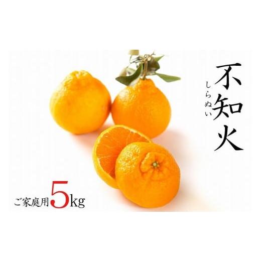 ふるさと納税 みかん・柑橘類 デコポン 和歌山県 和歌山市 不知火約5kg 15〜24玉入り [ご家庭用] 訳あり 和歌山県産 農園直送 まごころ産直みかん 北海道・…