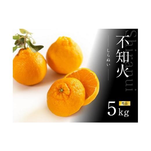 ふるさと納税 みかん・柑橘類 デコポン 和歌山県 和歌山市 不知火 約5kg 15〜24玉入り [赤秀] 和歌山県産 農園直送 まごころ産直みかん 北海道・沖縄県・一…