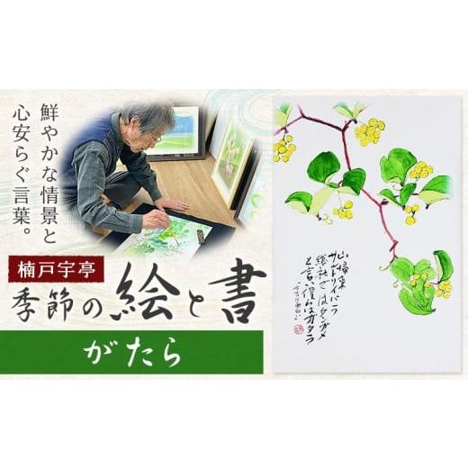 ふるさと納税 雑貨・日用品 絵画 岡山県 笠岡市 絵 書 書道 アート 季節の絵と書 がたら 楠戸宇亭[90日以内に出荷予定(土日祝除く)]岡山県 笠岡市 送料無料 …