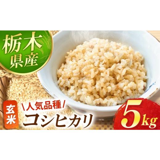 ふるさと納税 玄米 栃木県 真岡市 真岡市産 コシヒカリ 玄米 5kg |お米 米 白米 玄米 おにぎり 日本 主食 米 おいしい おこめ 5kg 10kg 20kg 30kg 栃木県 真岡…